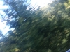 20150906_162726