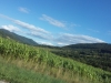 20150906_163226