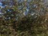 20150906_163228