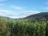 20150906_163231