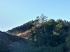 20150906_171550_Richtone(HDR)